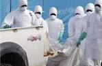 EBOLA : FG Activates Surveillance Activities Over Outbreak In Congo