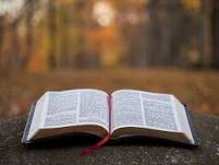 Can Prophecies Fail?