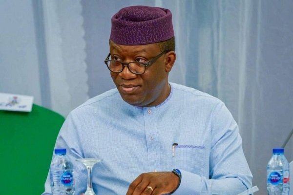 How police brutalised, teargased me during 2014 campaign, by Fayemi