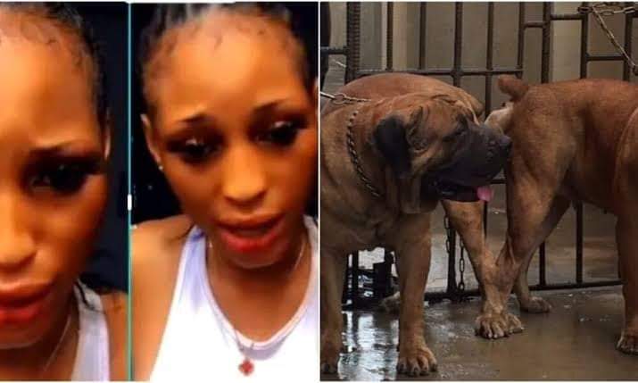 Lady who slept with dog in viral sex video colludes with journalist to fake her death – Police