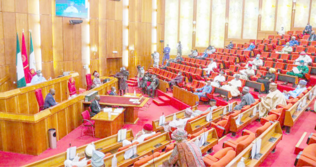 Senate Tells Employers To Remove Age Limit For Employment
