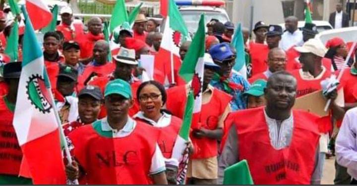 NANS Calls for suspension of NLC, TUC proposed strike