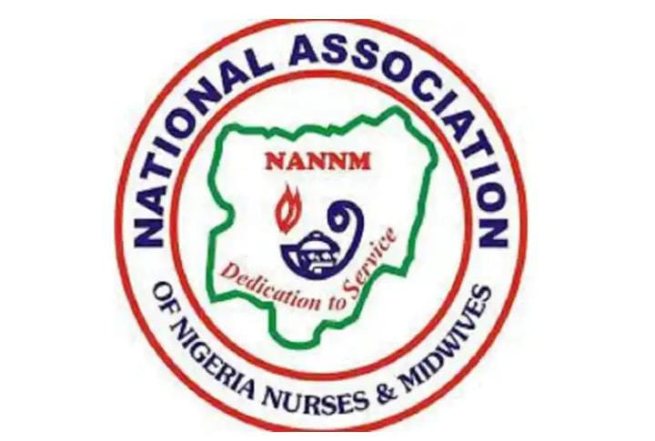 Japa: Nigerian Nurses, Midwives Demand For Separate Salary Structure