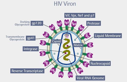 My Parents Are HIV Positive, I Am Drained Financially, Depressed Nigerian Cry For Help