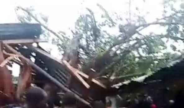 Four dead, many injured after rainstorm topples trees in Edo market