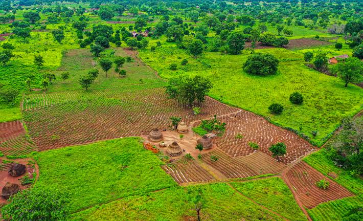 Ondo Farmers Protest Alleged Sale of Farmland to Private Company