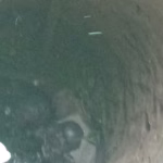 IMG-20250821-WA0047
